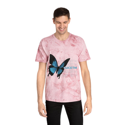 LDuceTMT-ShirtButterflies Unisex Color Blast T-ShirtButterflies Unisex Color Blast